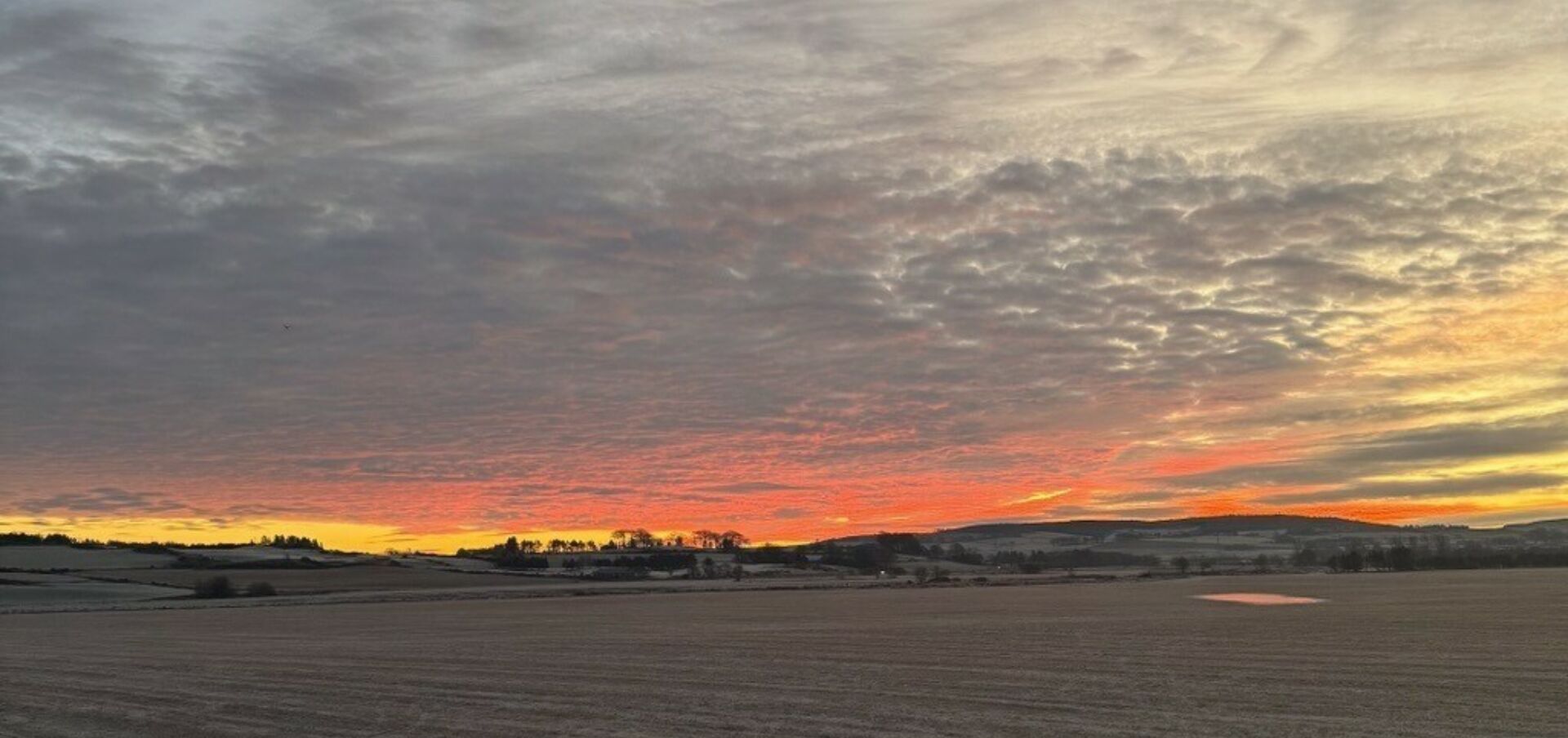 Image 2026 02 13 T092303 990