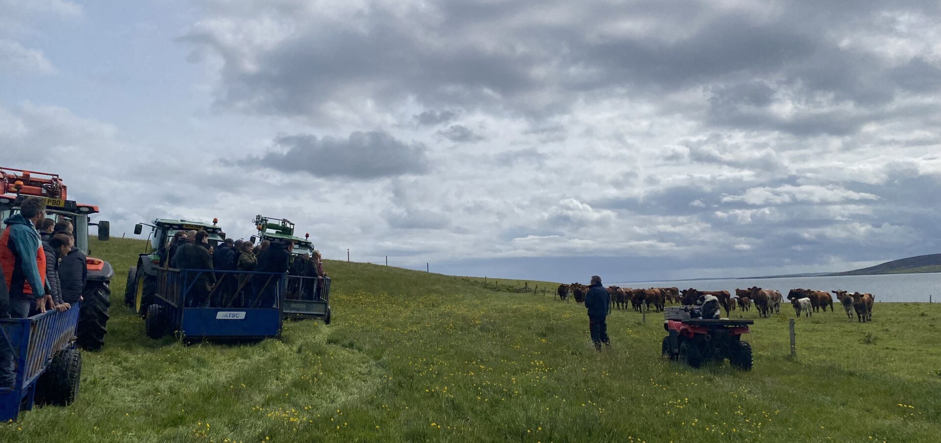 Come Ashore Cup Farm Walk 1