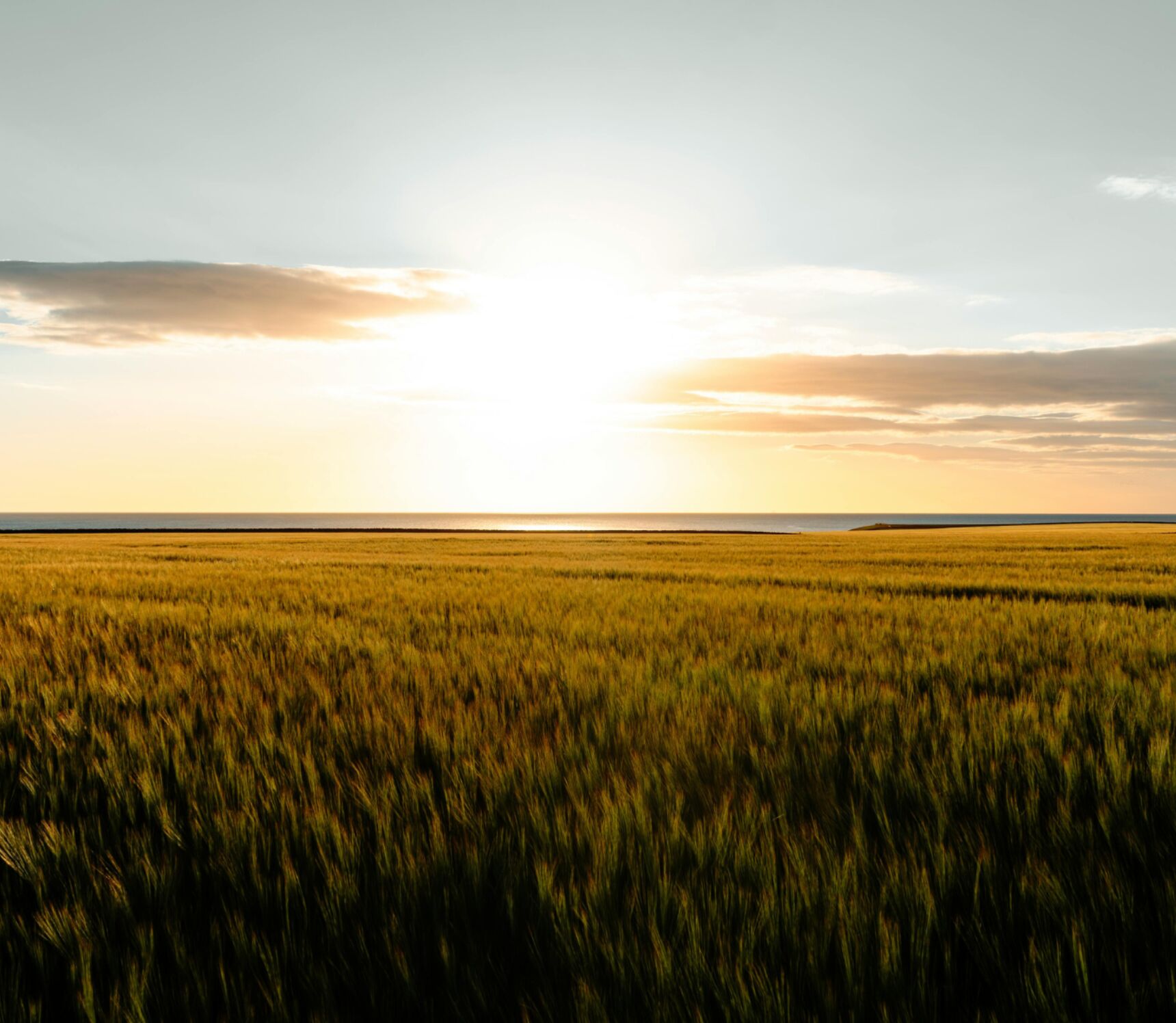 Website banner
