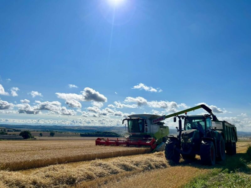 Wester Braikie harvest pic