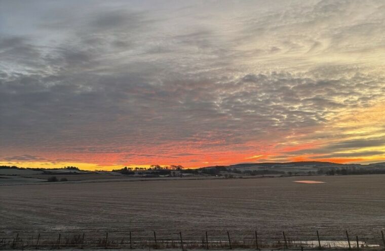 Image 2026 02 13 T092303 990