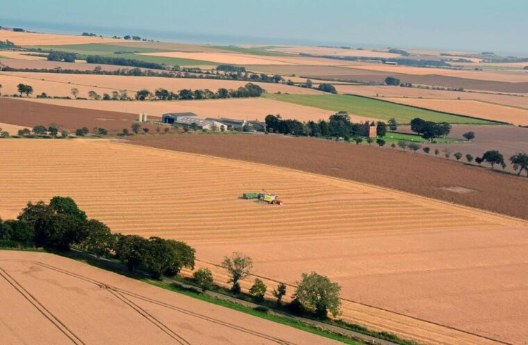 Wester Braikie Farm overview